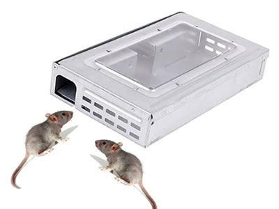 Trampas multiples para ratas